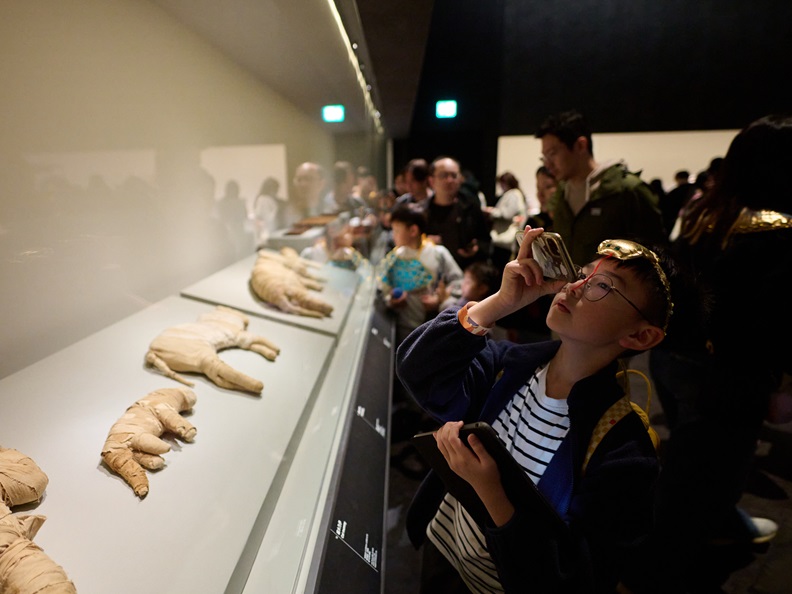 ​  Participants learning more about cat mummies.