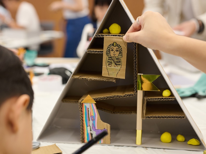 Pyramid model of the participants.