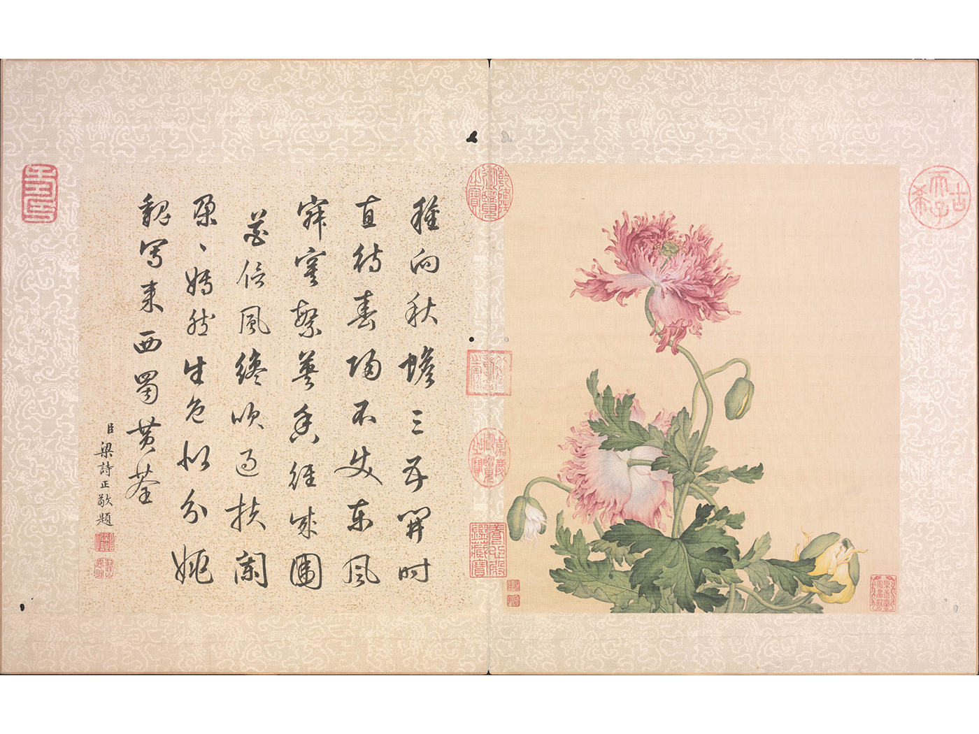 郎世宁花鸟图